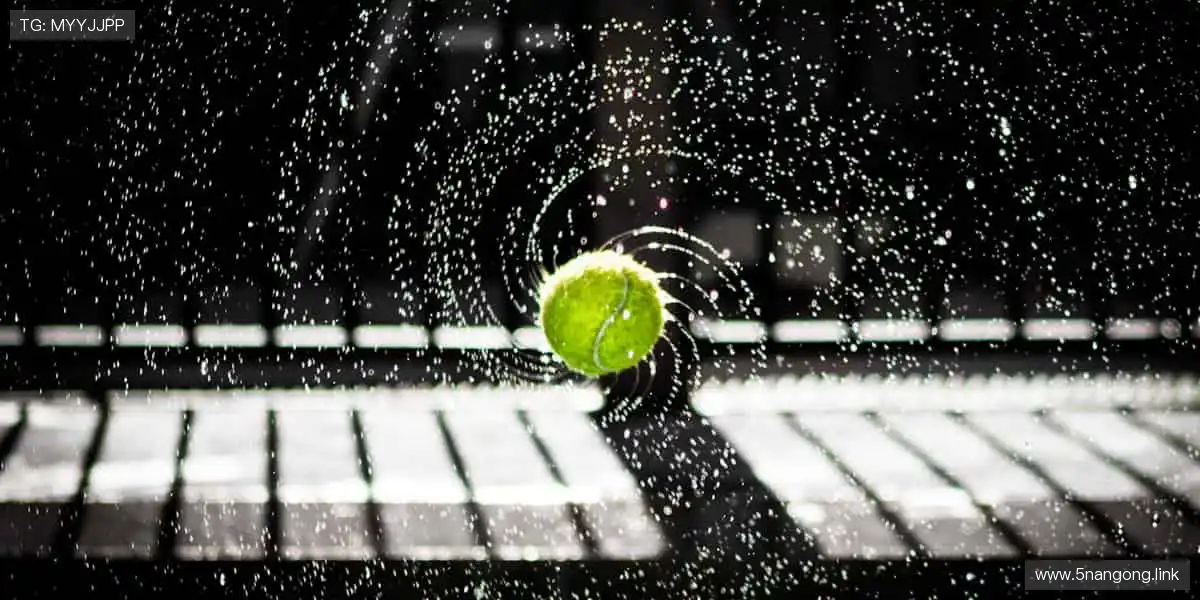 微密猫,掌握娱乐新潮!🎉🤩